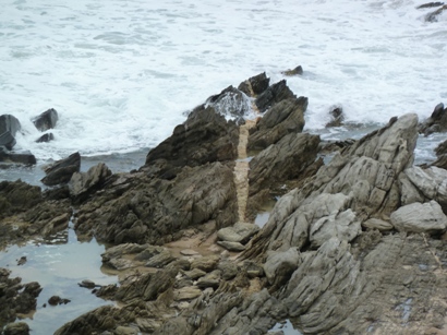 Field Geology Club of South Australia